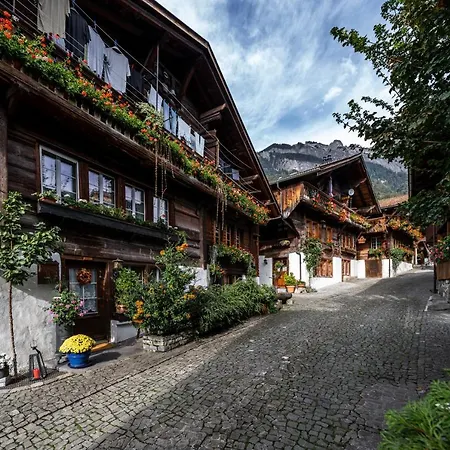 Large Apt In Town Center With Garden & Near Lake Brienz (Bern)