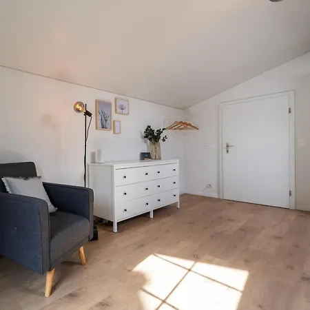 Apartment Large Apt In Town Center With Garden & Near Lake Brienz (Bern)