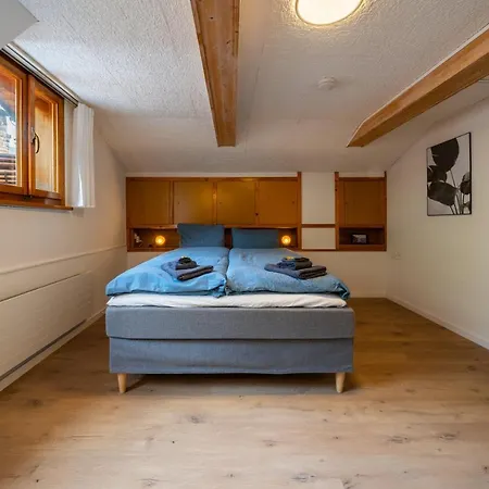 Apartment Large Apt In Town Center With Garden & Near Lake Brienz (Bern)
