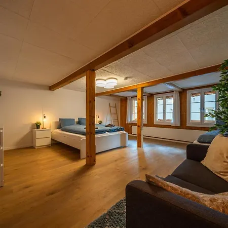 Apartment Large Apt In Town Center With Garden & Near Lake *