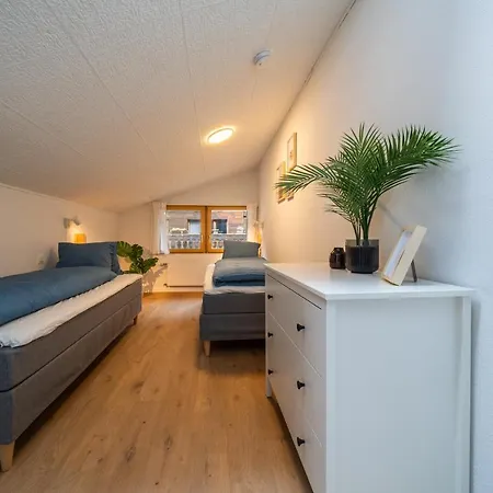 Apartment Large Apt In Town Center With Garden & Near Lake *