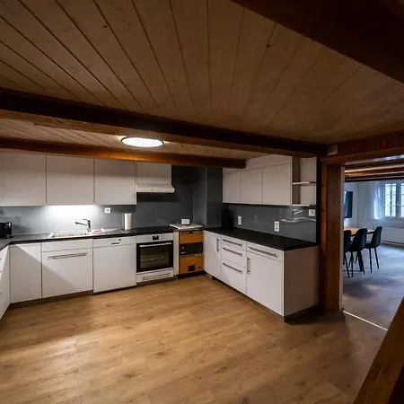 Large Apt In Town Center With Garden & Near Lake Apartament Brienz (Bern)