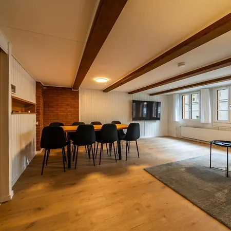 Large Apt In Town Center With Garden & Near Lake Apartament