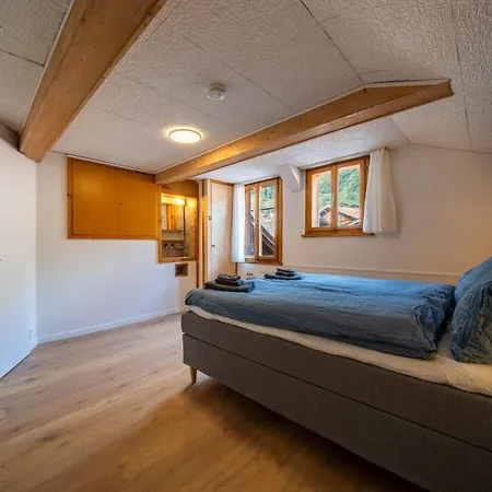Large Apt In Town Center With Garden & Near Lake