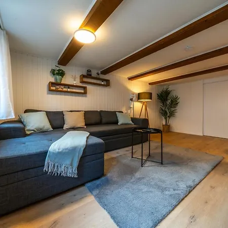 Large Apt In Town Center With Garden & Near Lake ブリエンツ