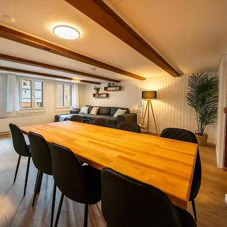 Large Apt In Town Center With Garden & Near Lake ブリエンツ
